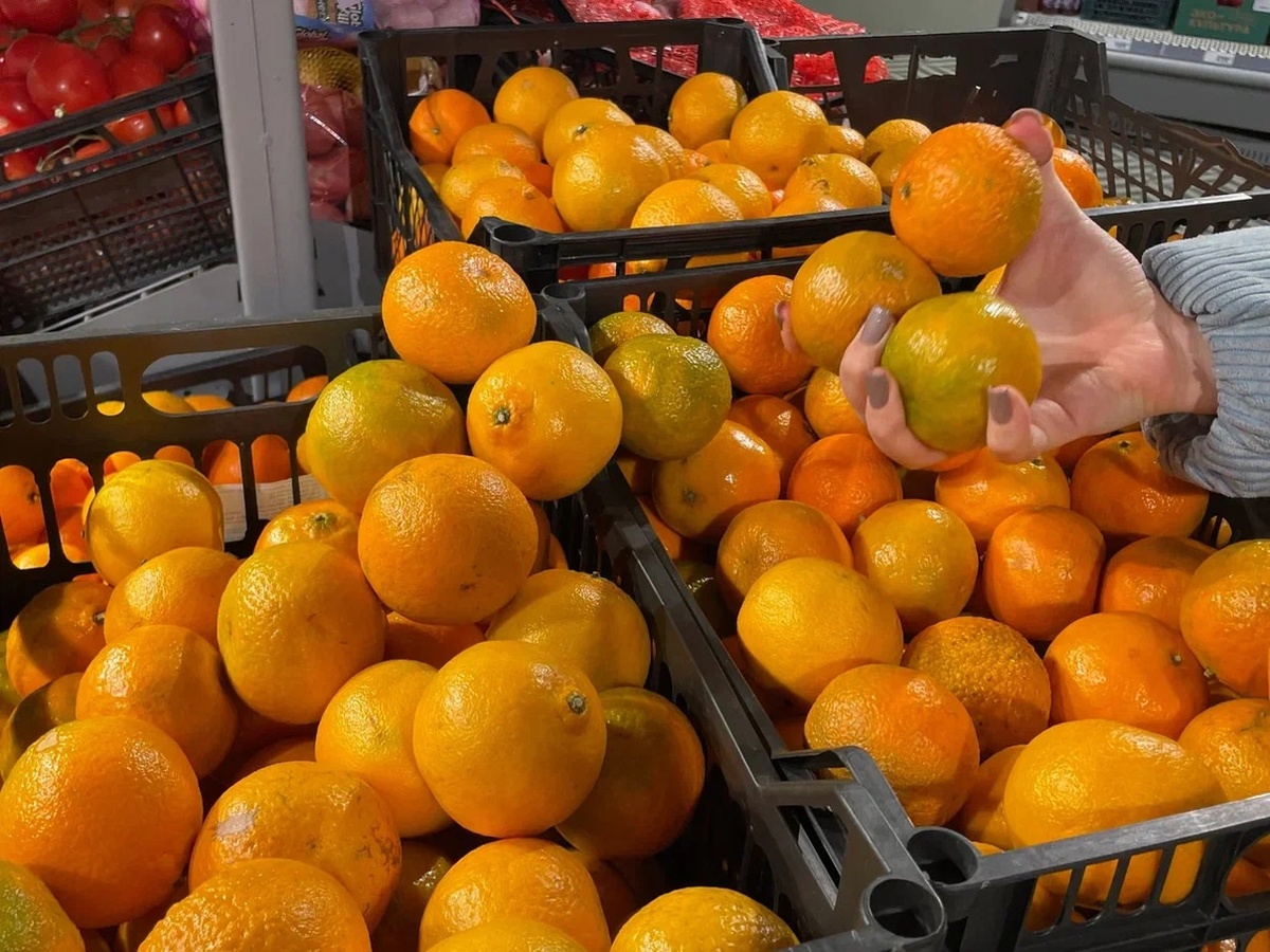    фотобанк samaraonline24