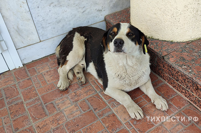 Фото: Регина Степаняк. 