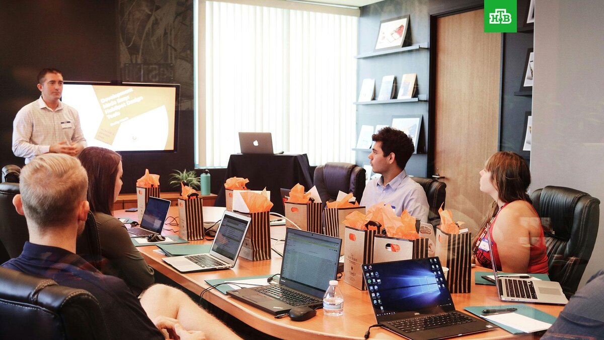    Фото: Campaign Creators / unsplash.com