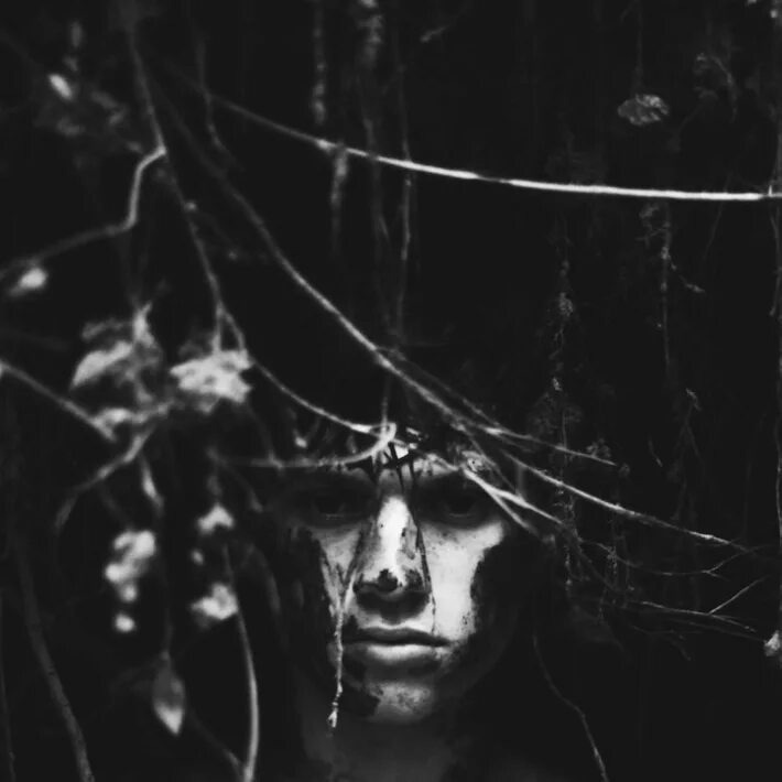 Изображение взято из открытых источников интернета. 