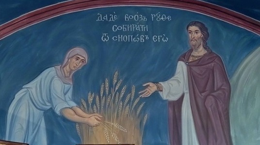 Даде Вооз Руфи собирати от снопов его. Современная роспись.