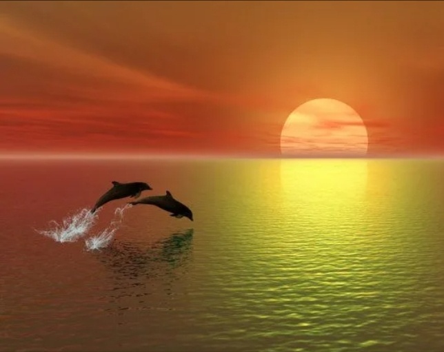 Солнце... Рыбы.... 