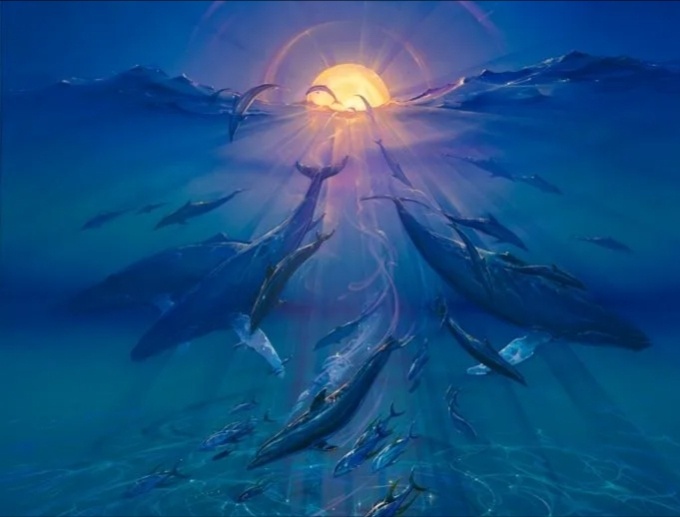 СОЛНЦЕ В РЫБАХ. 