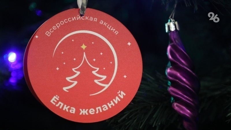      Фото: ИА «Победа26»