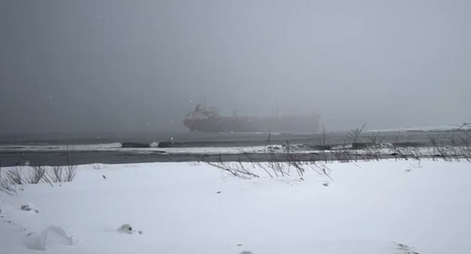    губернатор Сахалинской области Валерий Лимаренко / Telegram