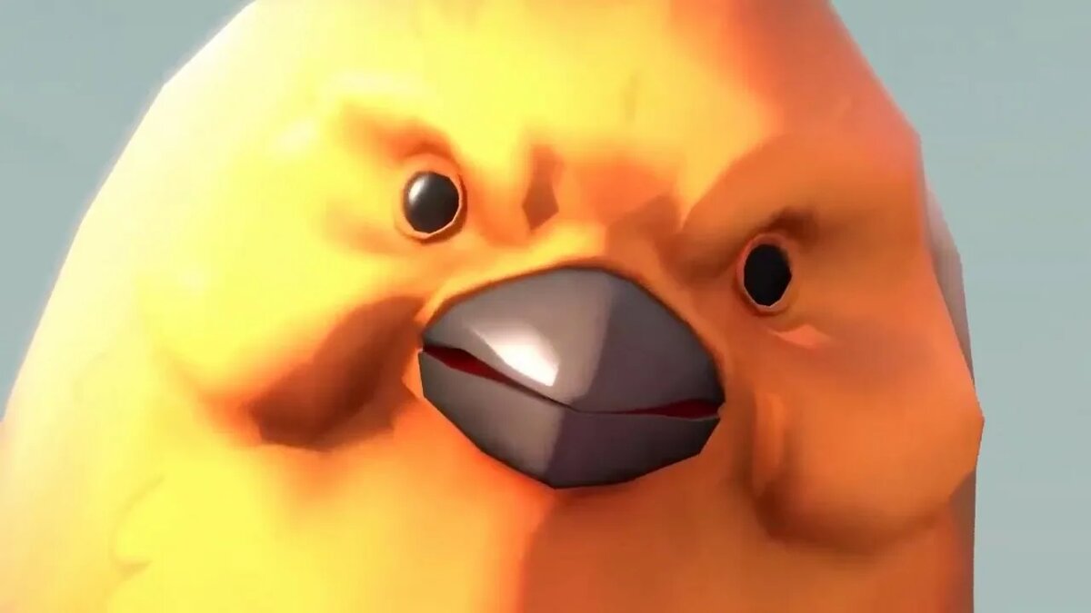 И эта картинка тоже взята из интернета!