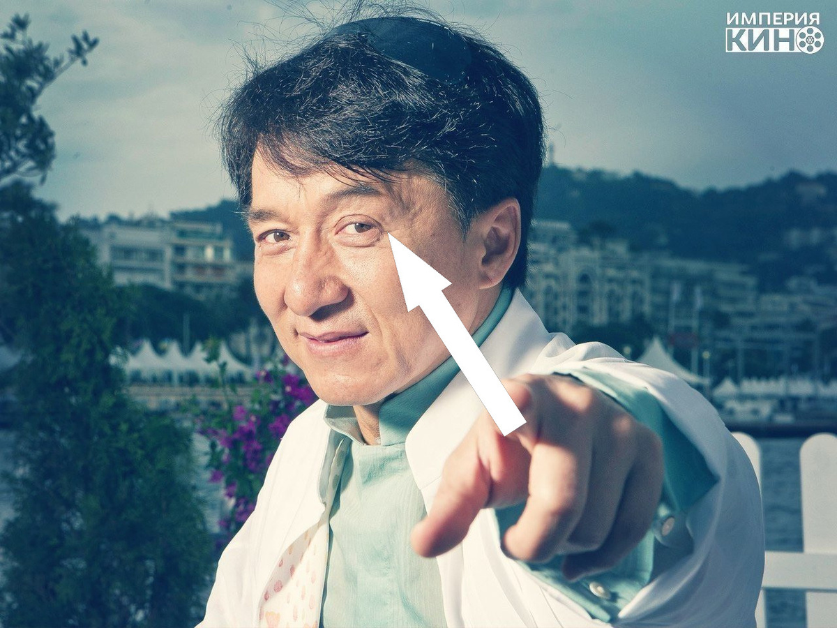    Как живет пес Джеки Чан — звезда соцсетей