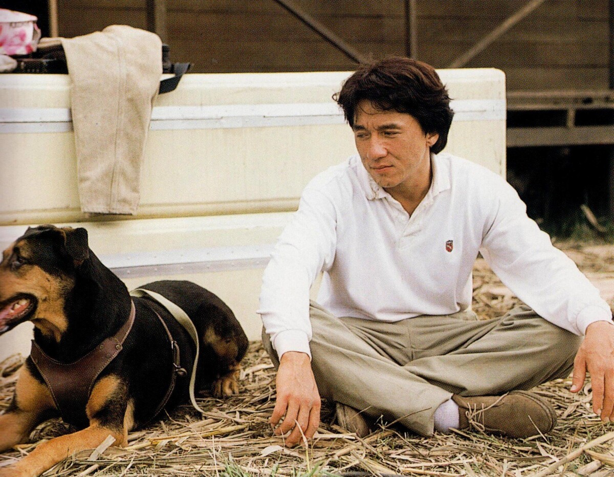    Как живет пес Джеки Чан — звезда соцсетей