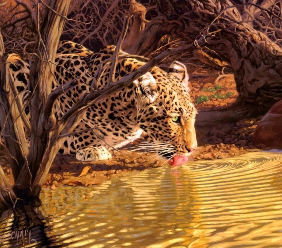 � �������.