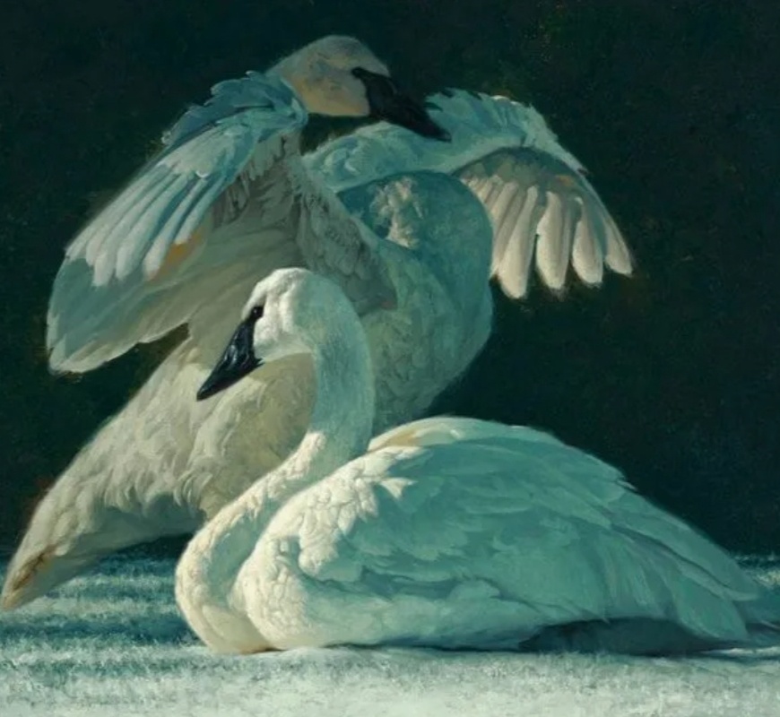 ������ ������.