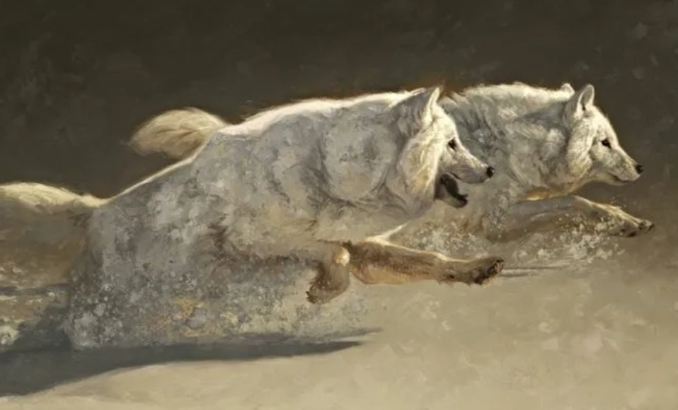 � ������.