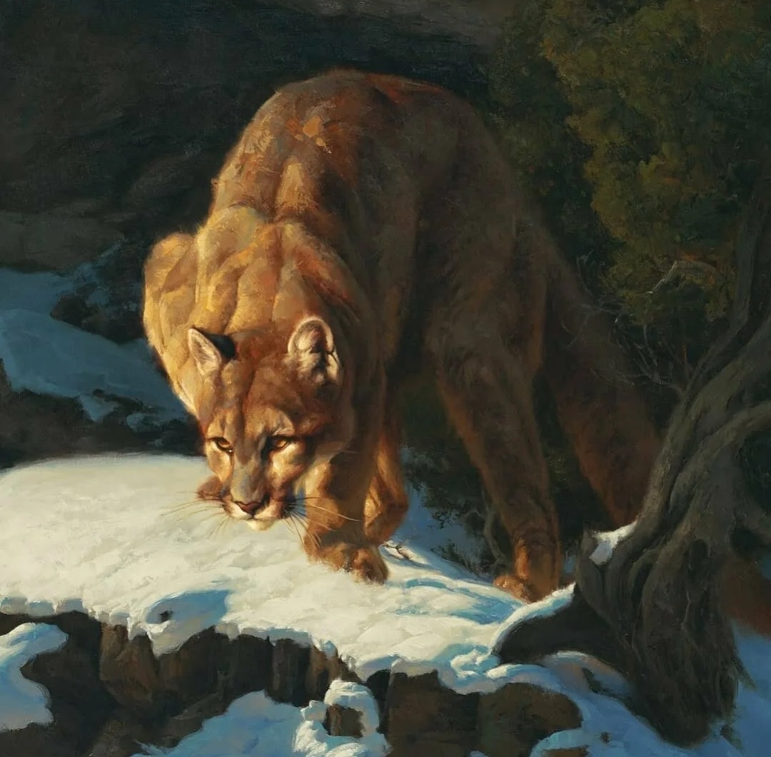 ��������.