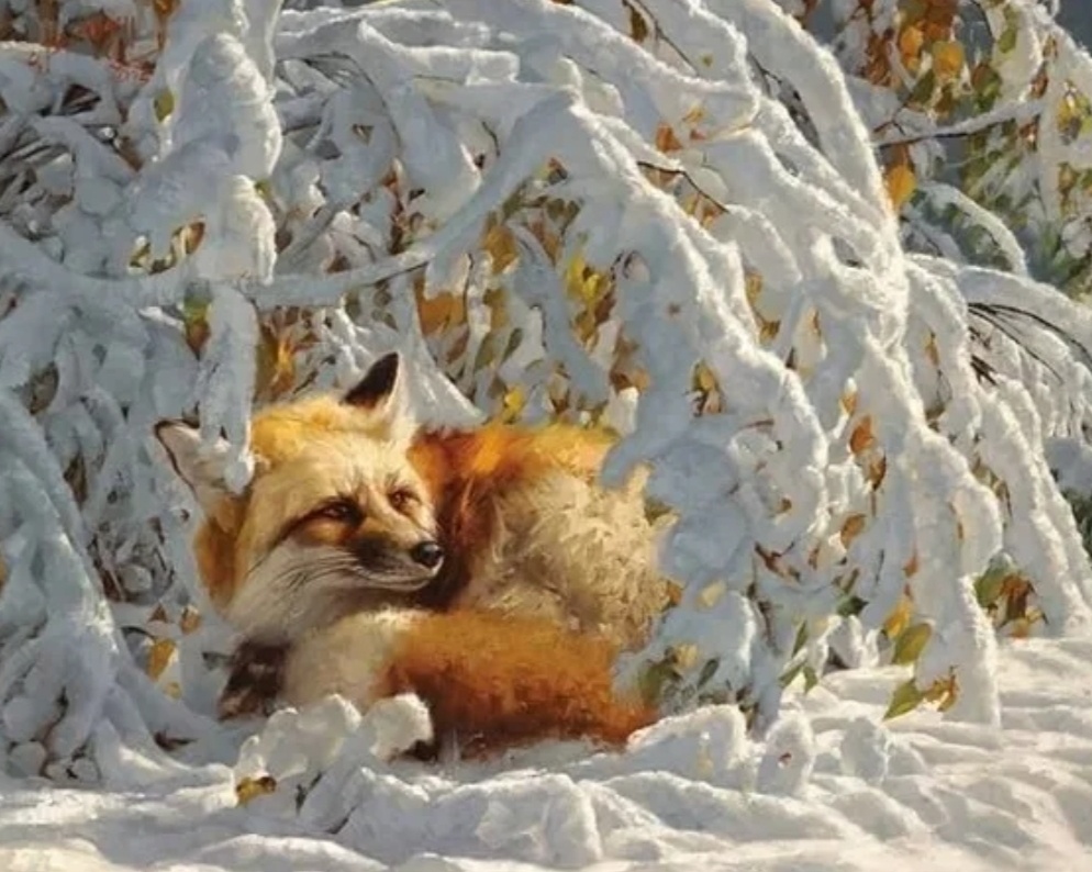 ��������� ����.