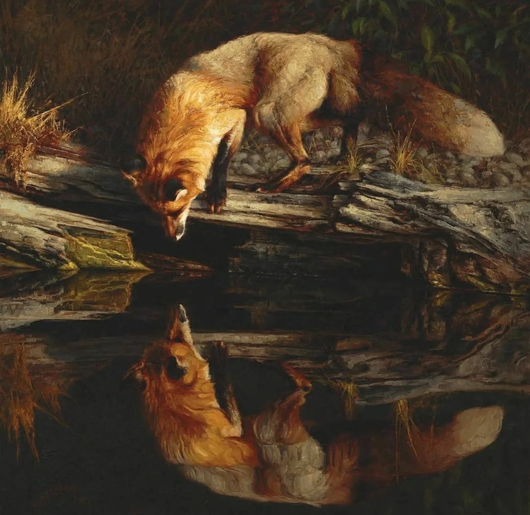 ���������.