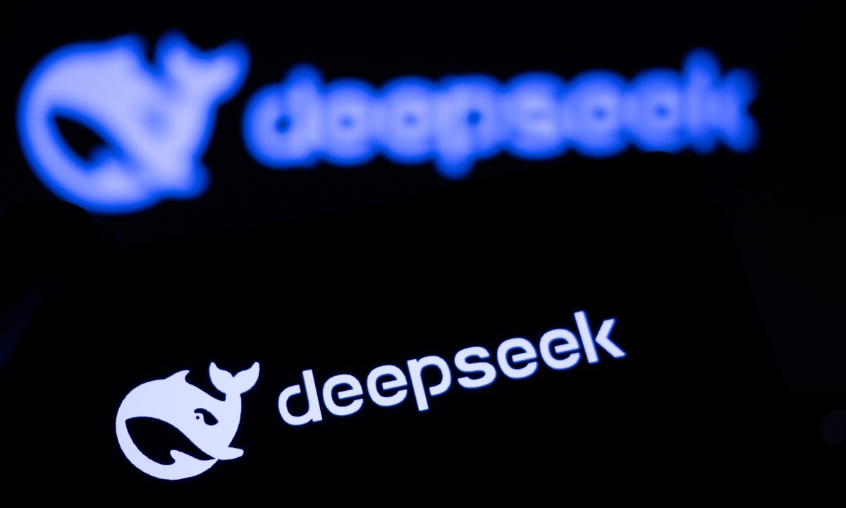 DeepSpeek