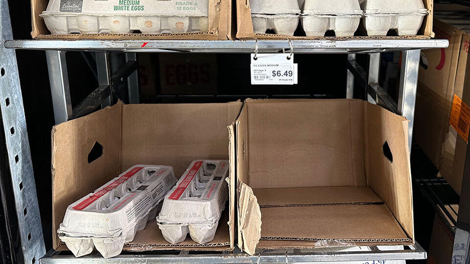     "Яйцефляция": в супермаркетах США начались бои за дефицитные яйца TASS/Zuma