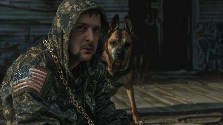 Коллаж NovorosInform