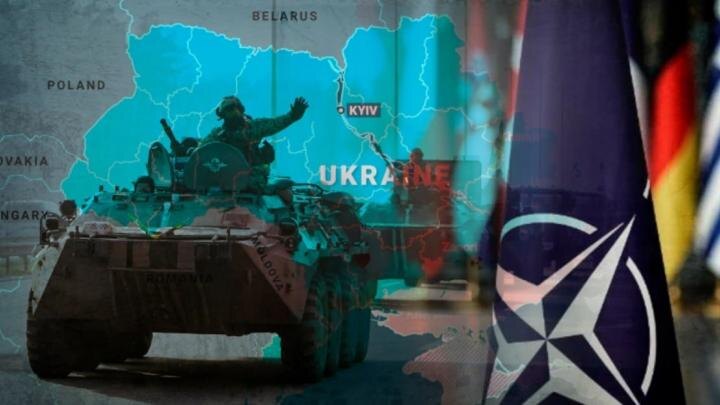 Коллаж NovorosInform