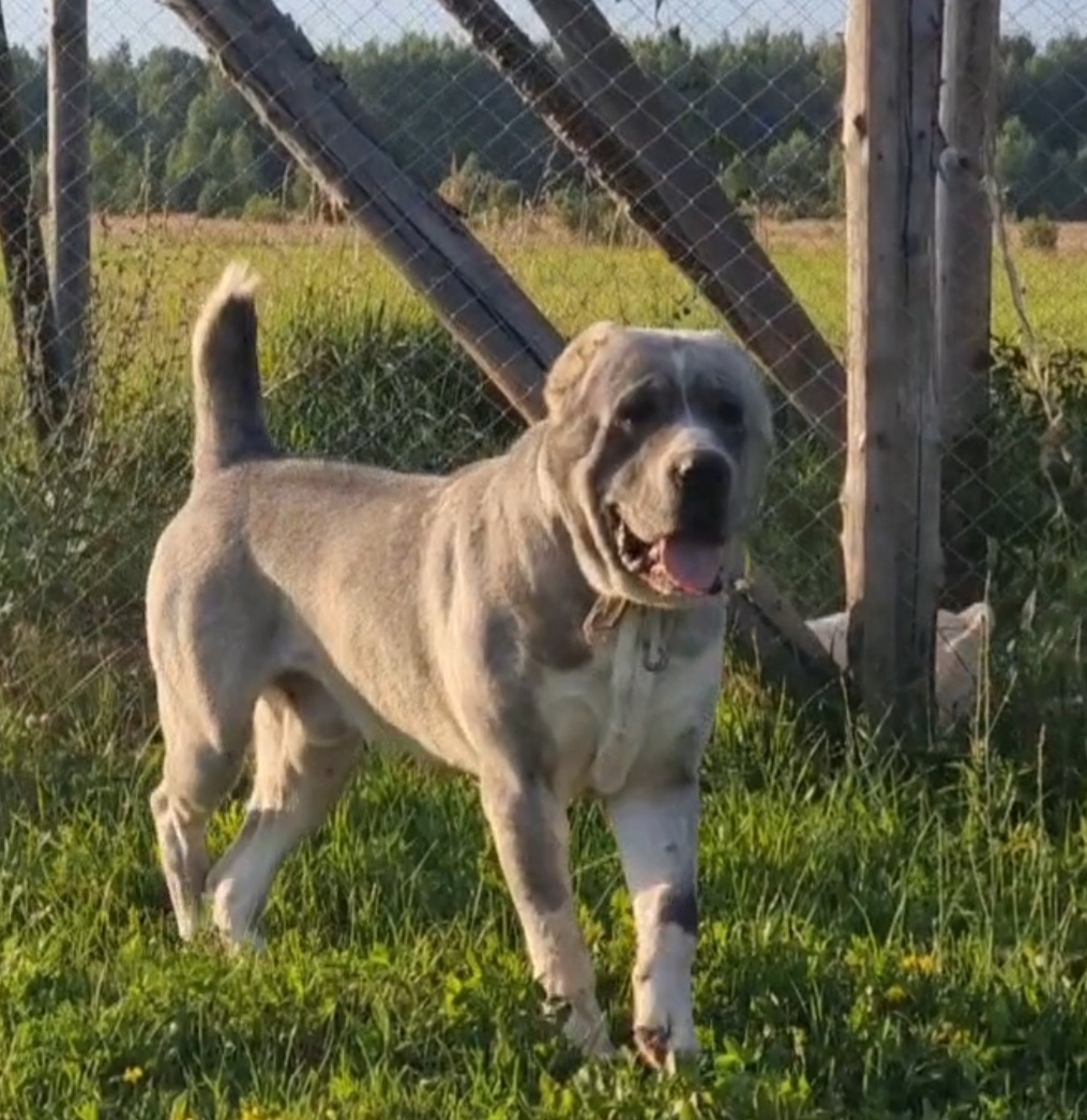 Рамзику можно простить все.. за его красоту.