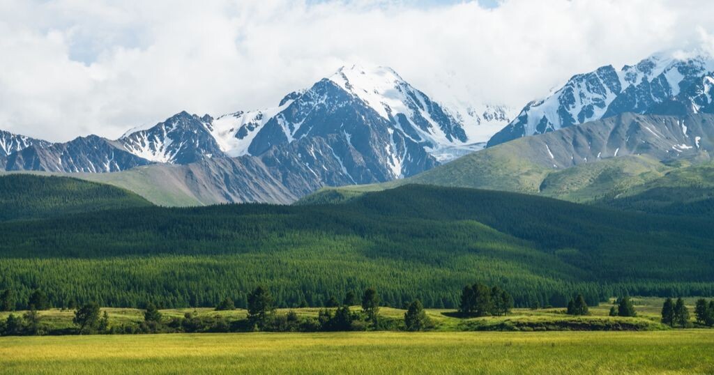 Фото: freepik.com