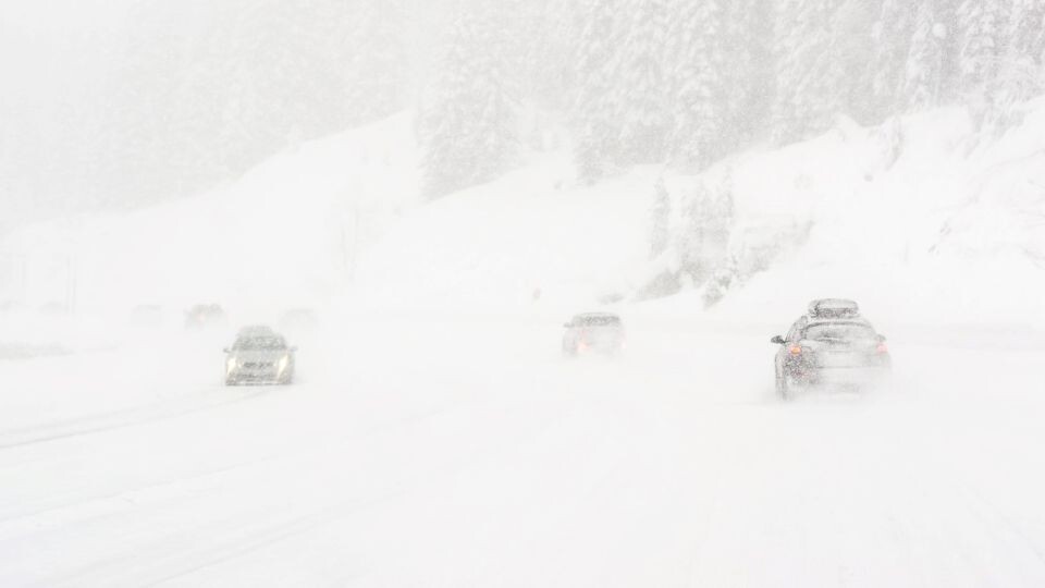    Метель, дорога. Источник: unsplash.com