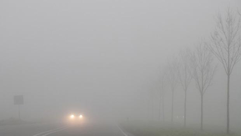 (фото из интернета)