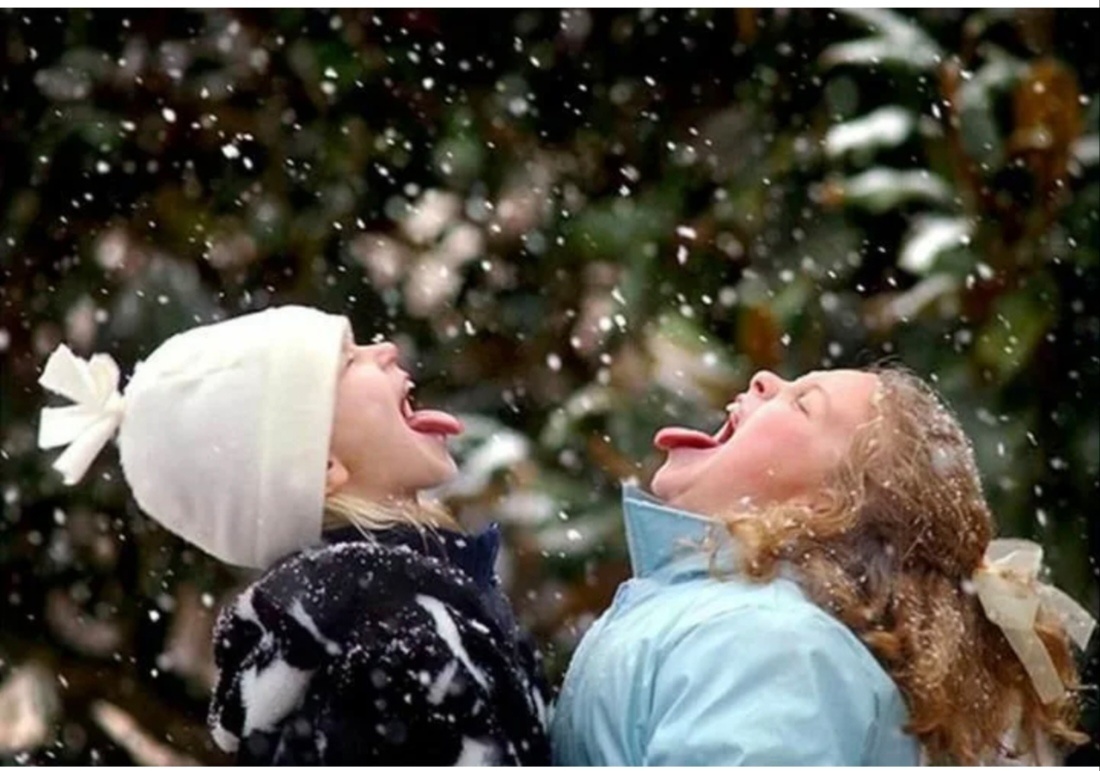 Картинка взята с интернета. 