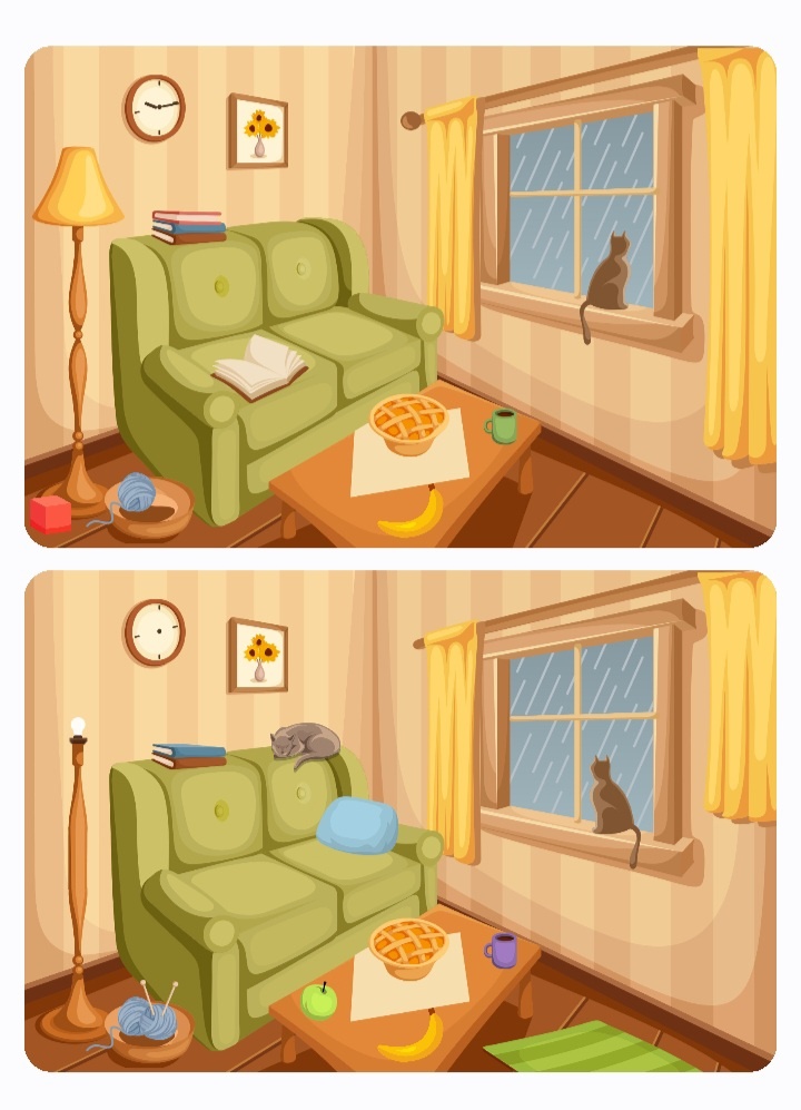 Найди отличия на рисунках