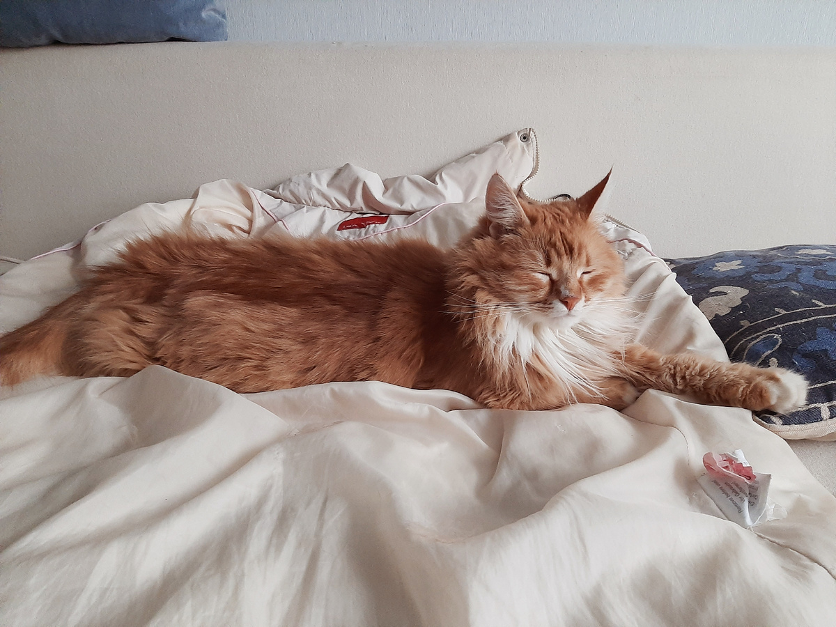 Здесь риса нет. Зато есть мамкин пуховик. И он всяко лучше чем какая-то зарытая пп-шная крупа.