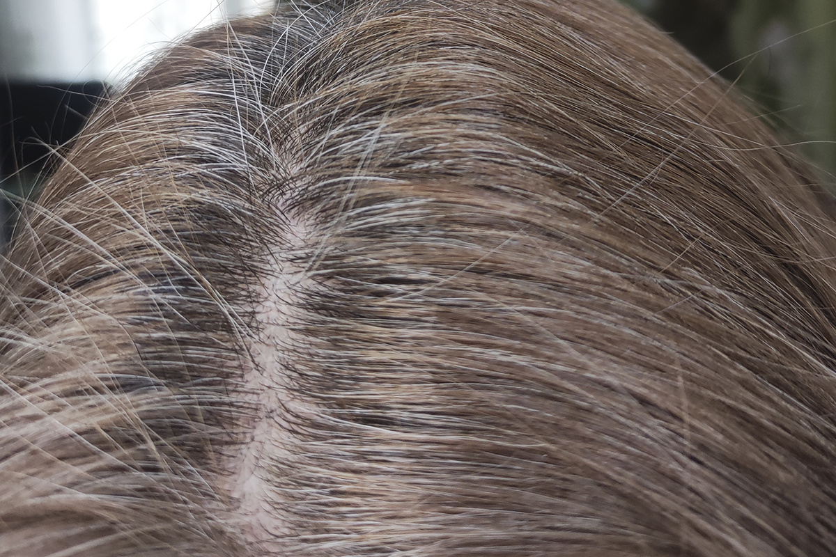 Отросшие корни, фото 31 декабря