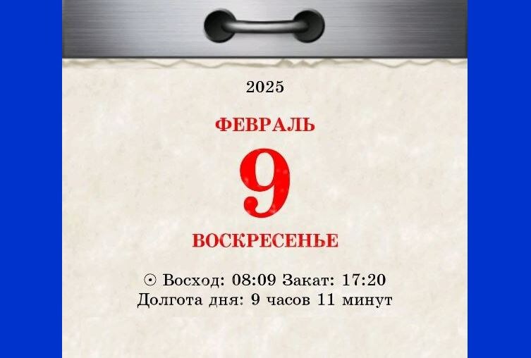 9 февраля 2025 года / 2024-2025 © АрхиФактум