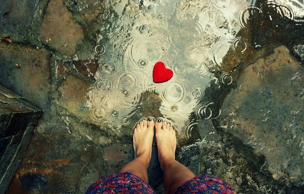 Источник Яндекс.Картинки 