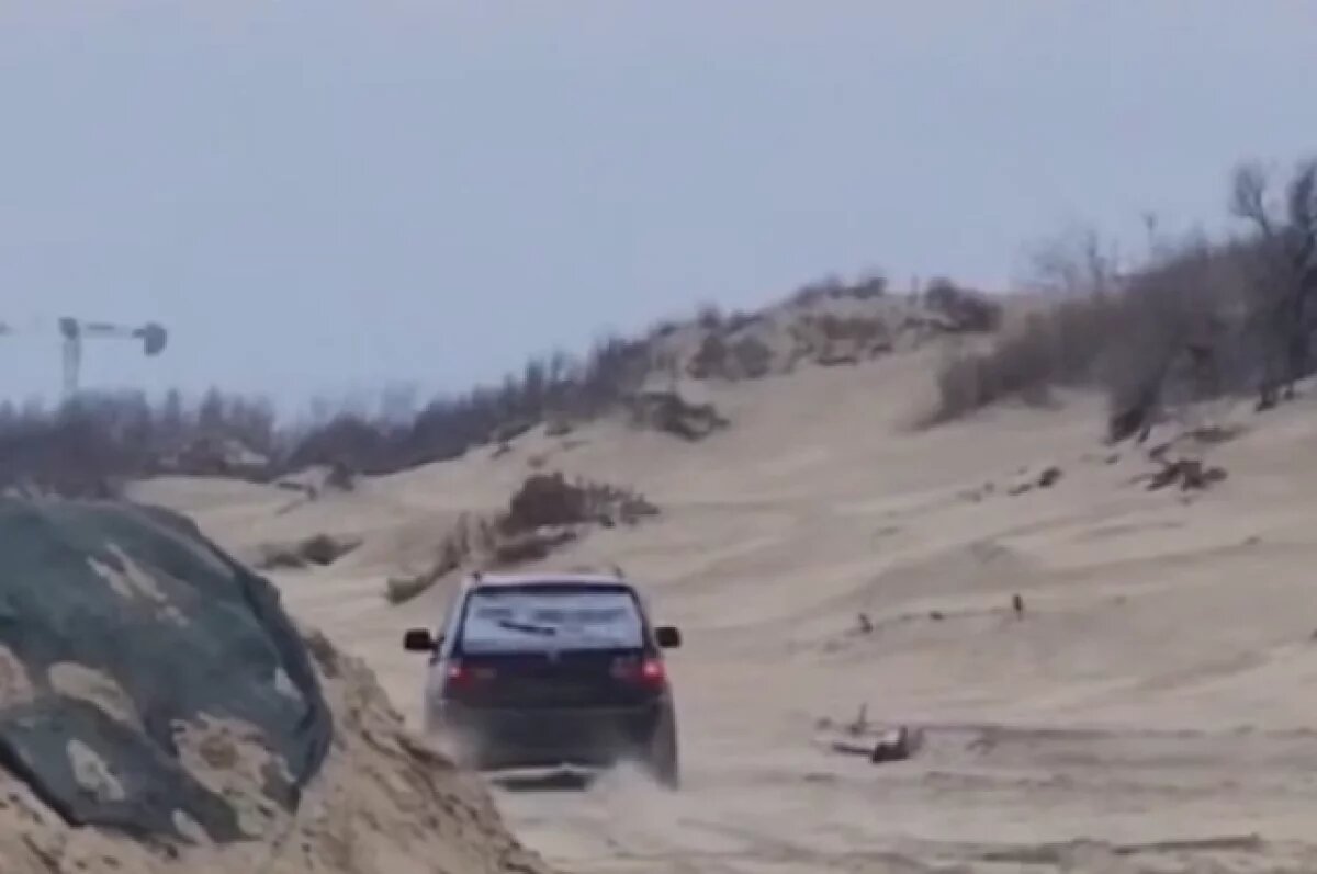    Установлен водитель, ехавший по пляжу в Анапе, где работали волонтеры