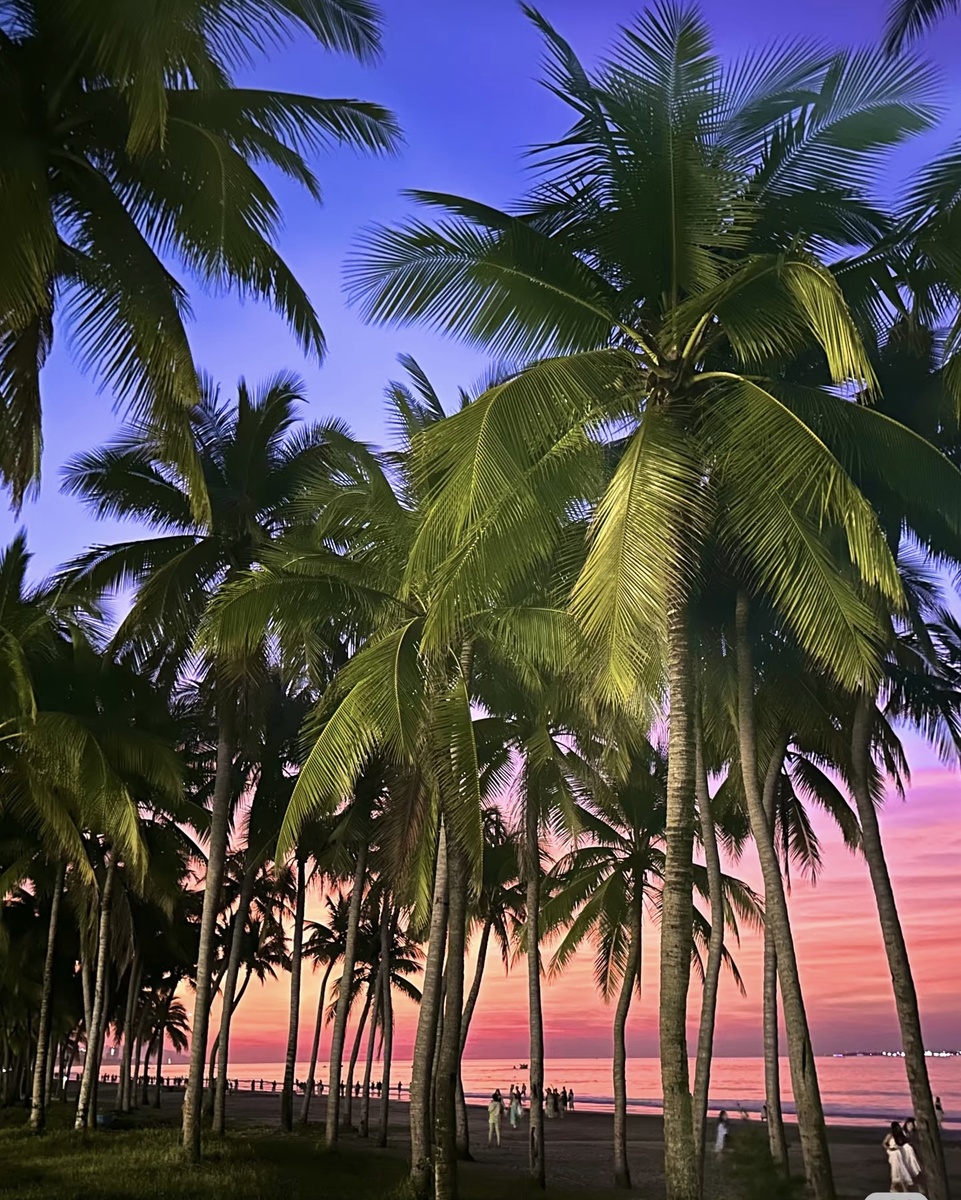 Закат в кокосовой аллее