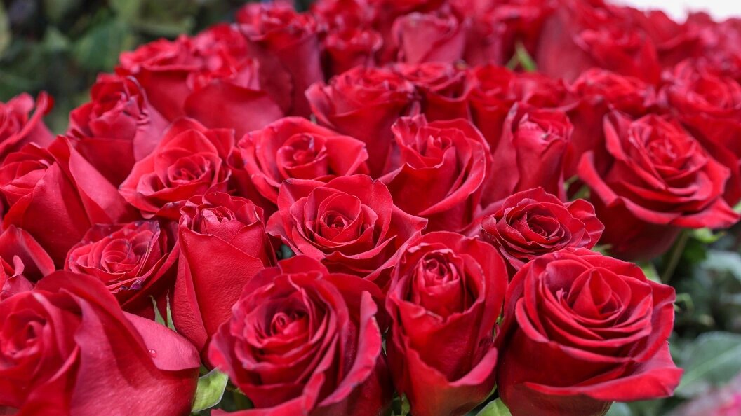    Bulkin Sergey/Globallookpress