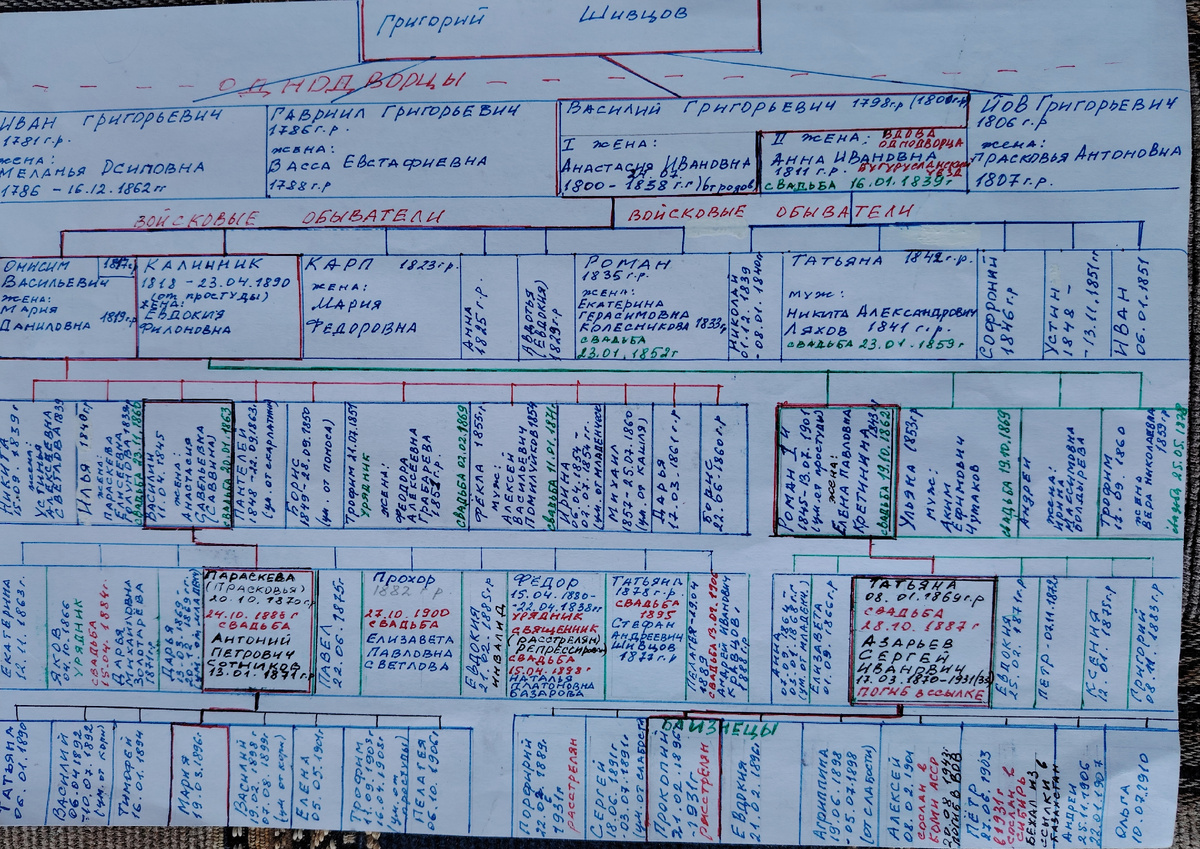 Две ветви Шивцовых. 