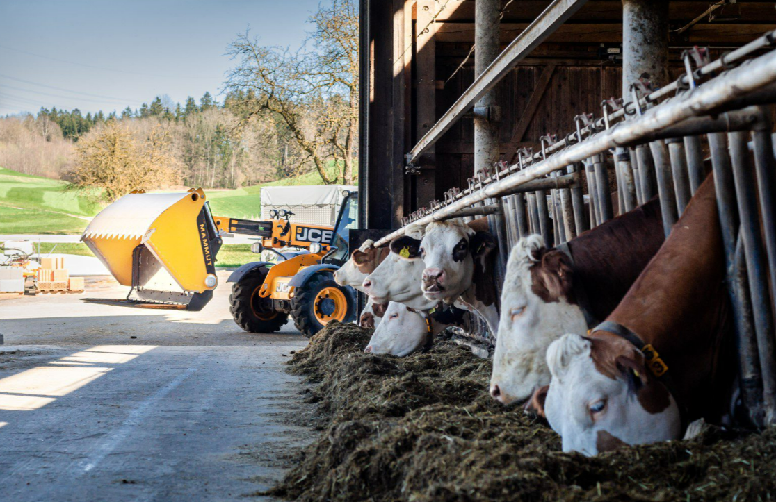 Резчик силоса MAMMUT Silo CAT