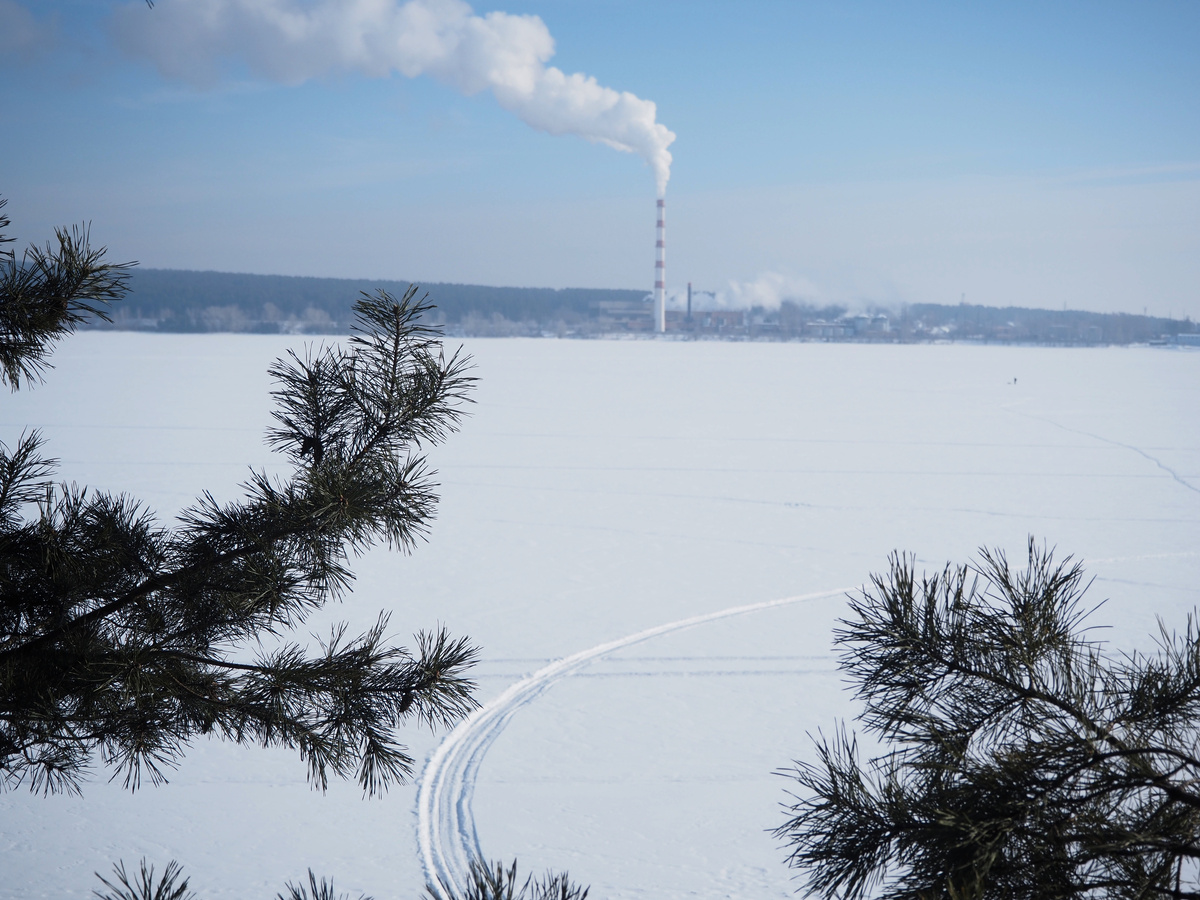 Бердский залив