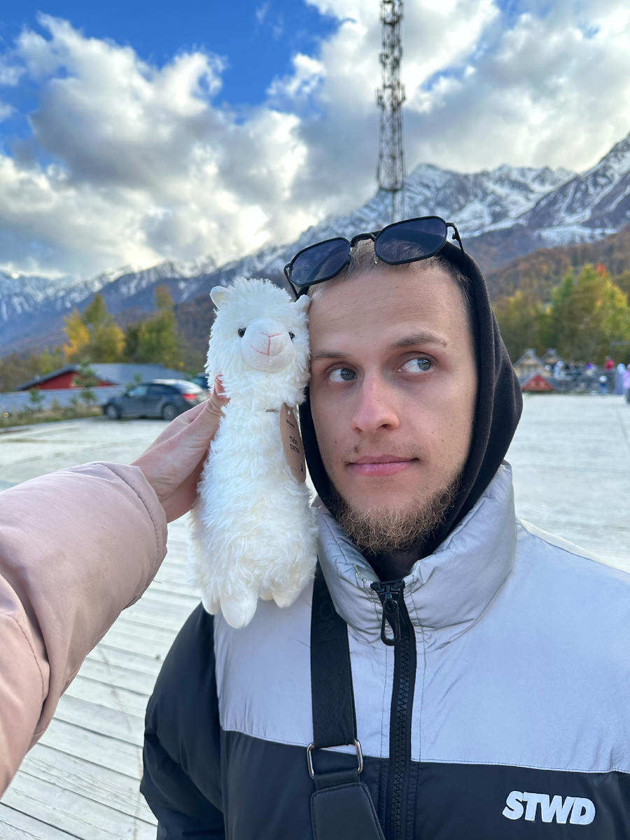 Удивительный мир альпак