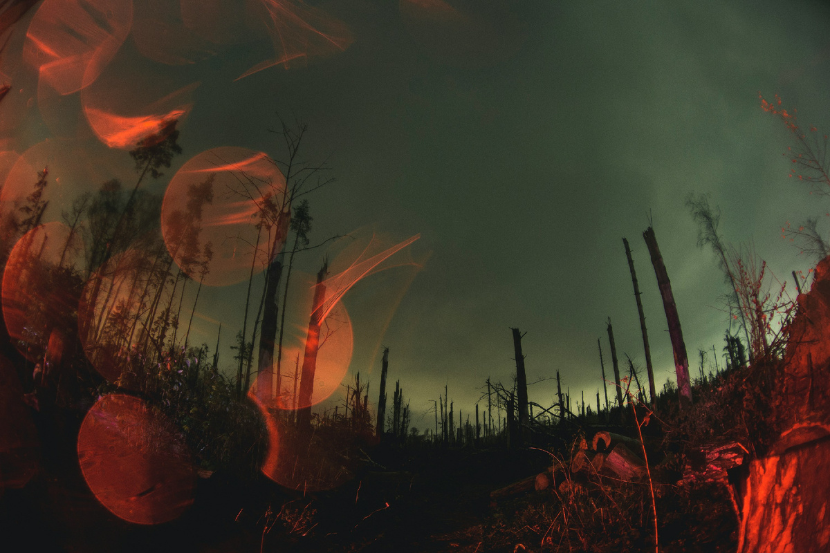 Фото: Unsplashed