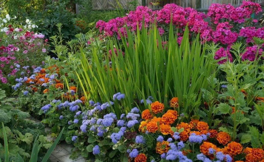 Самые красивоцветущие теневыносливые многолетники для старого сада, затемненных мест и влажных почв.