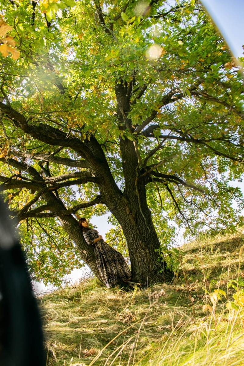 Почти что Лукоморский дуб