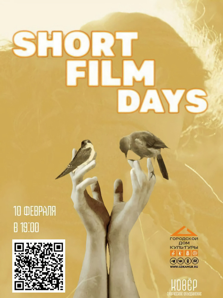     В Благовещенске пройдет фестиваль «Дни короткометражного кино» с эксклюзивными показами. Фото: мэрия Благовещенска