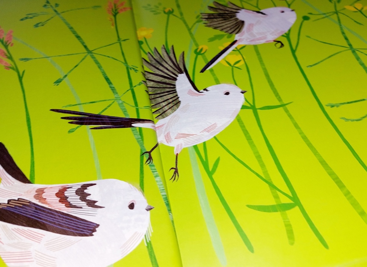 разворот форзаца