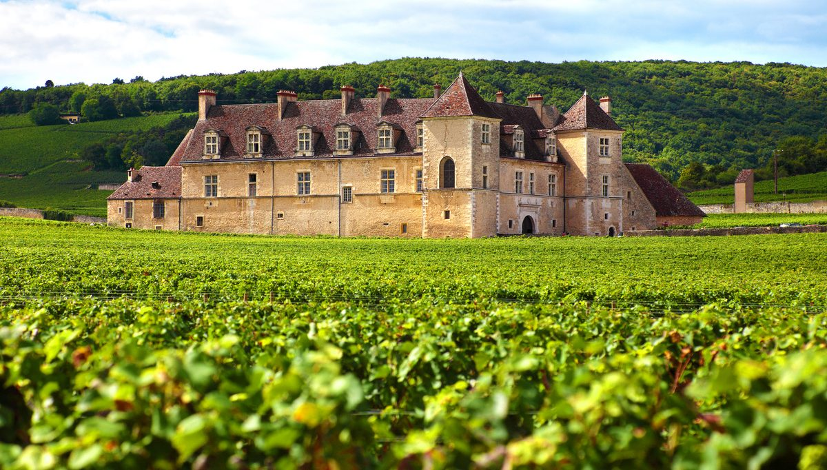 Виноградник и замок (шато) Clos du Vougeot Grand Cru, Кот-де-Нюи, Бургундия