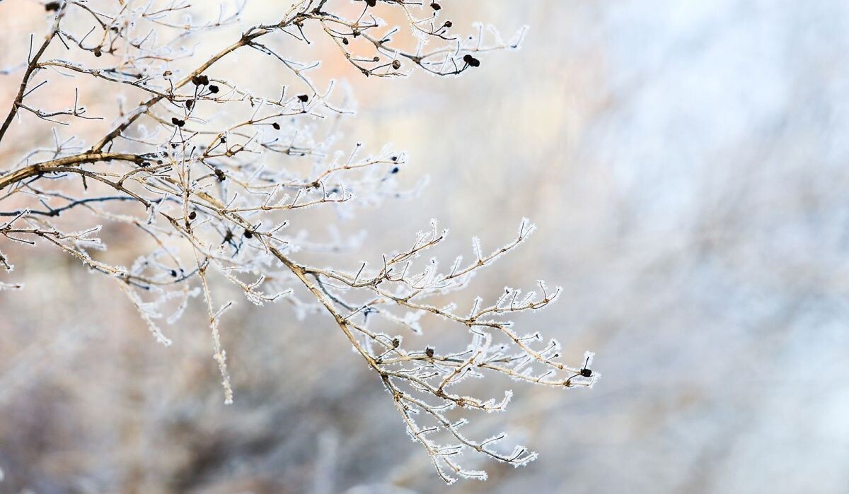     Природа. Источник: mos.ru Автор фото: Пресс-служба Мэра и Правительства Москвы