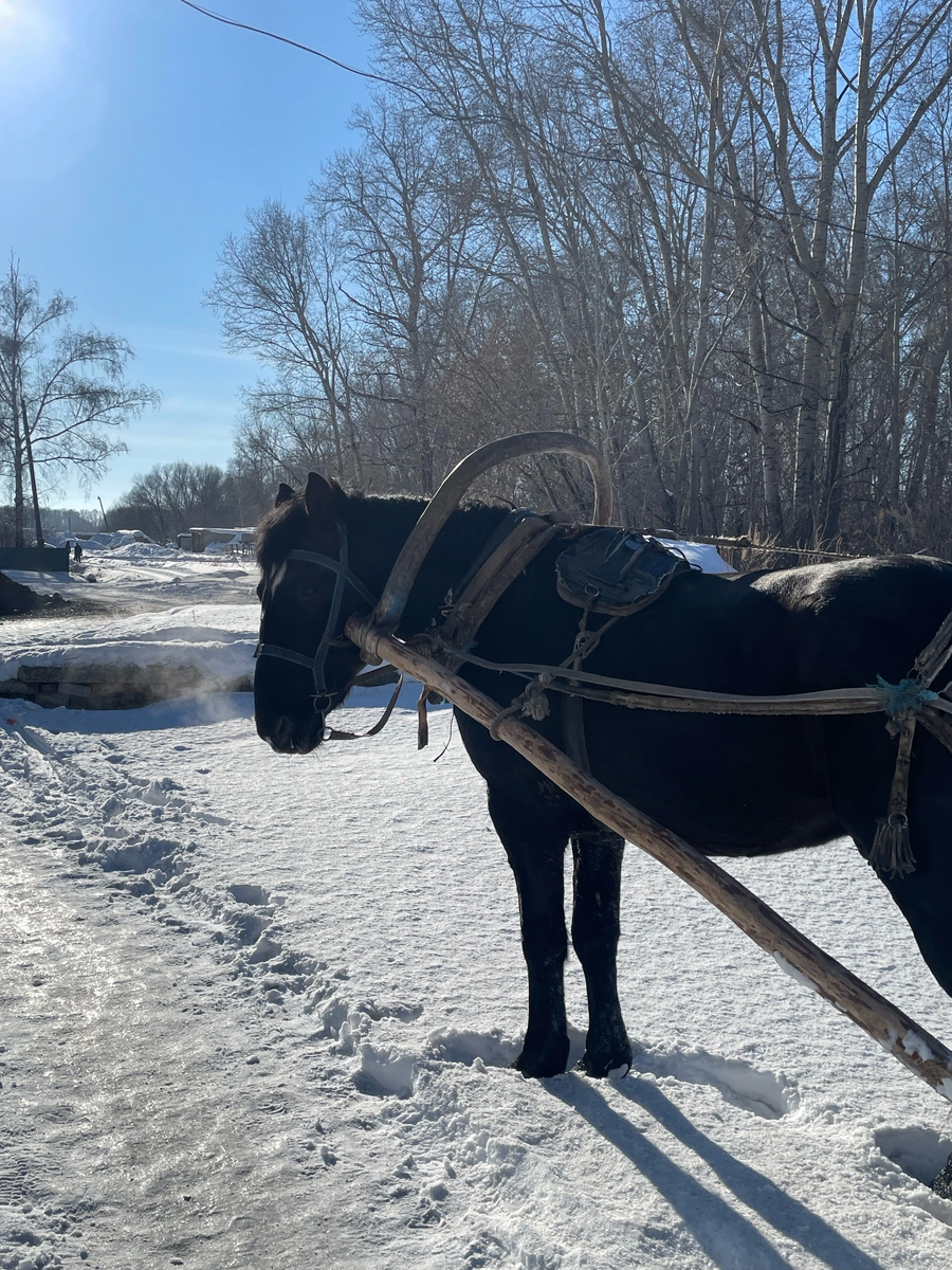В Хабарском районе Алтайского края