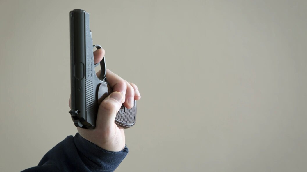    Николай Гынгазов/Global Look Press