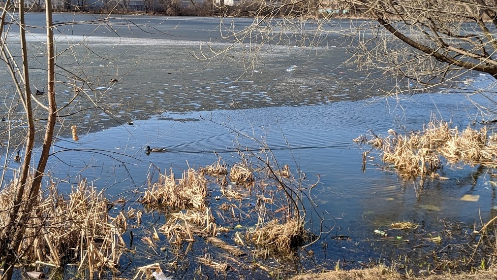Лед тает. Фото автора