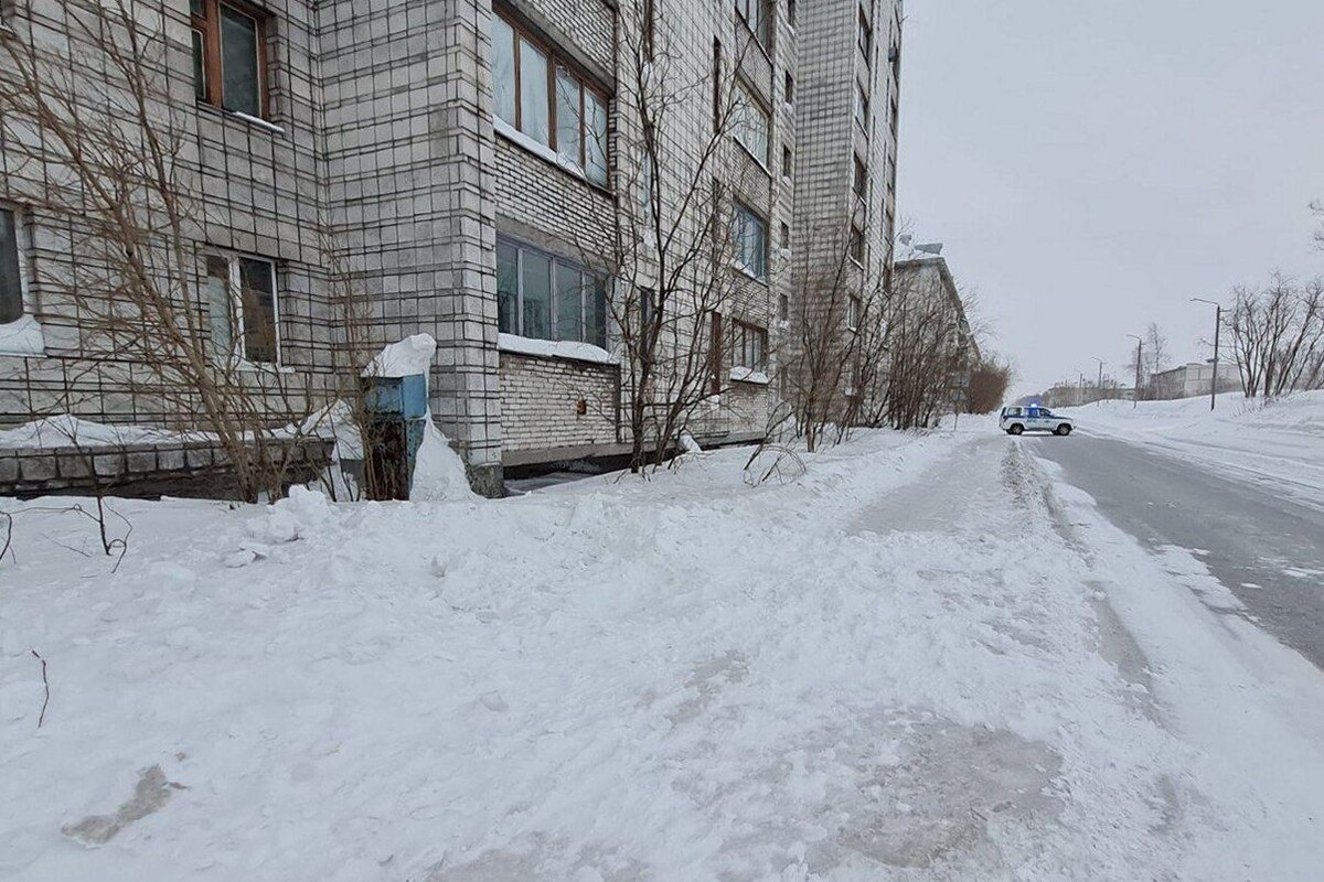     / Источник: © СУ СК России по Республике Коми